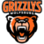 grizzlys-wolfsburg-logo