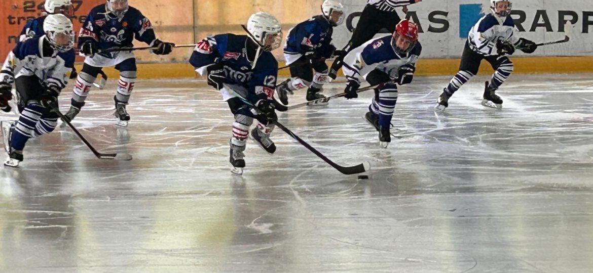 a2bc6dc1-ac8e-43c8-8049-036914df9612