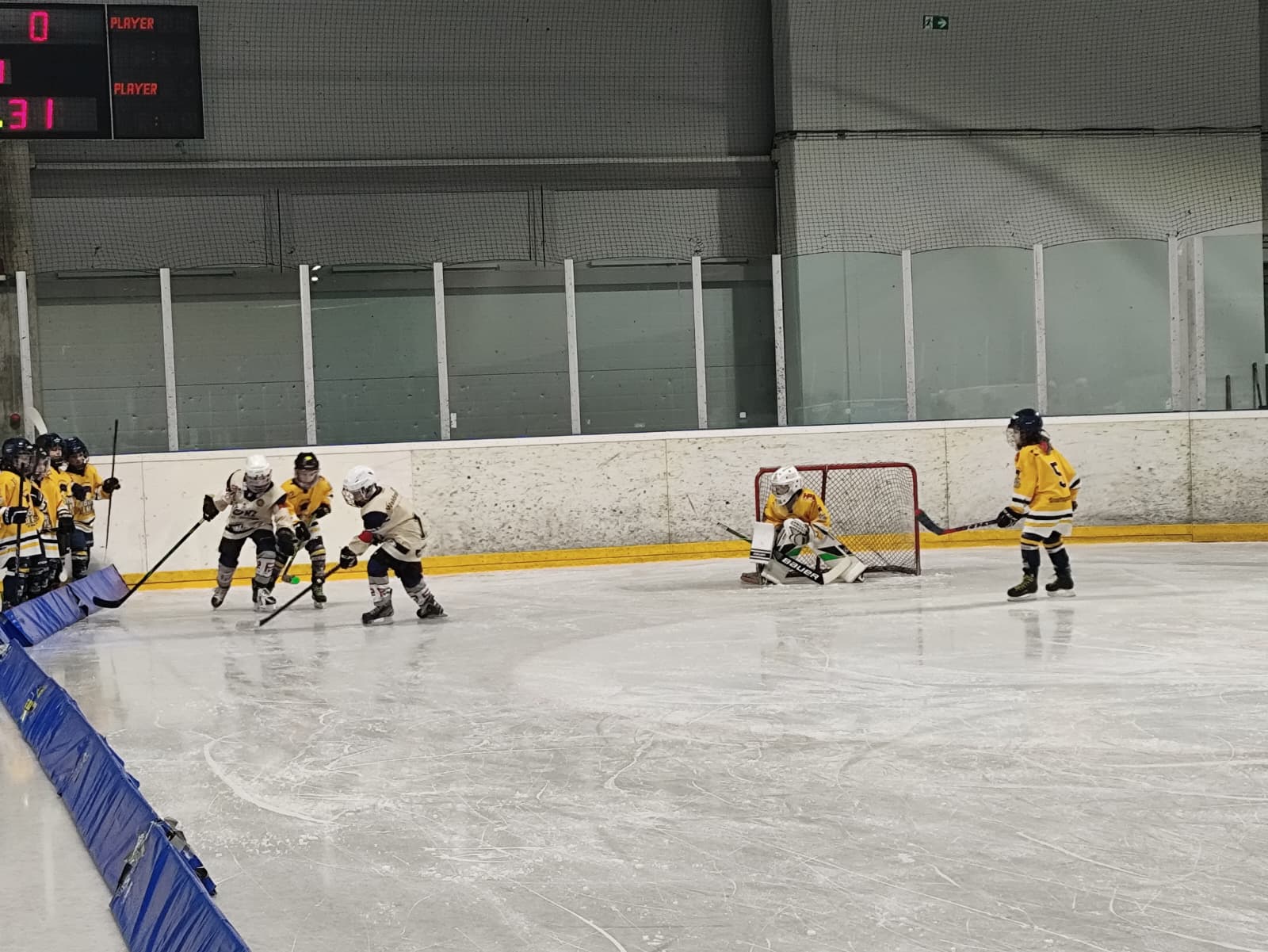 WhatsApp Image 2026-01-11 at 12.00.26